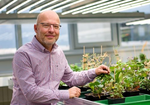 Czech scientists took part in major discovery decoding previously unknown parts of Arabidopsis thaliana genome